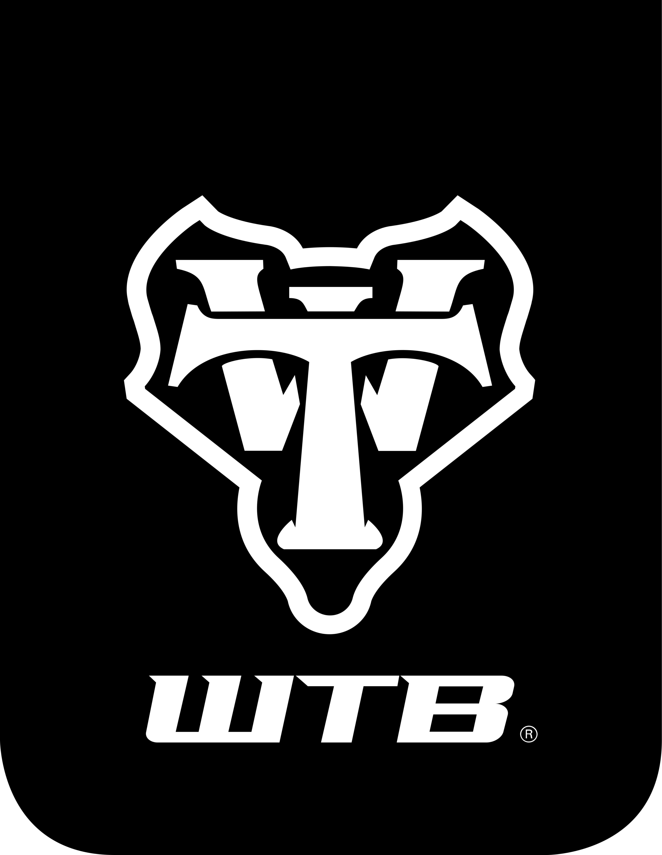 Wilderness Trail Bikes Logo