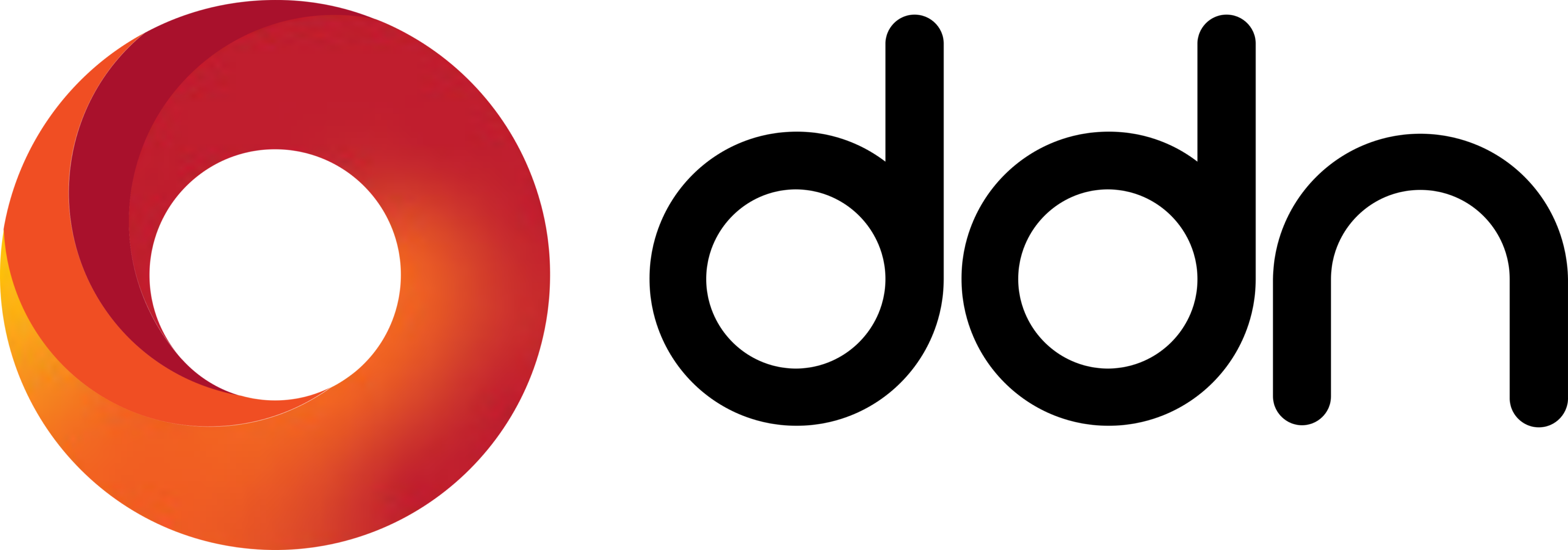 DataDirect Networks Logo