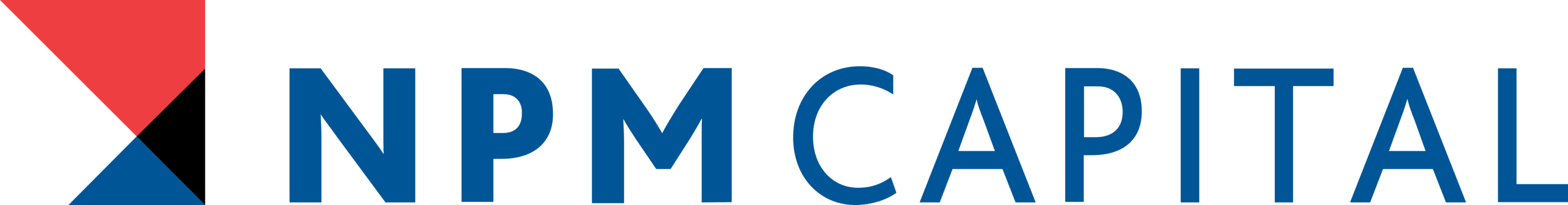NPM Capital Logo
