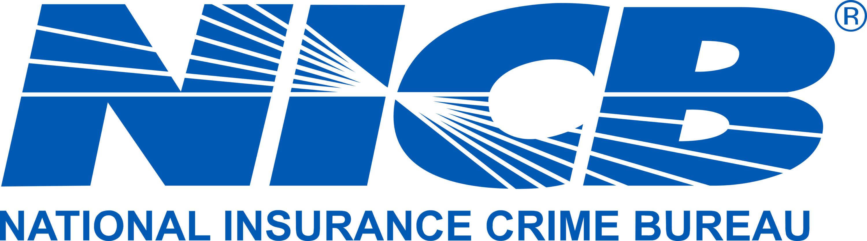 National Insurance Crime Bureau Logo