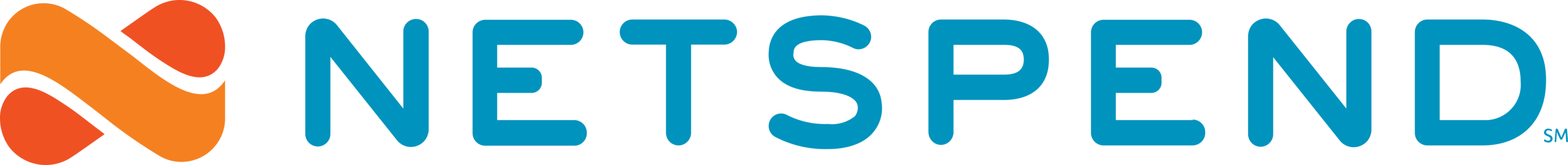 Netspend Logo