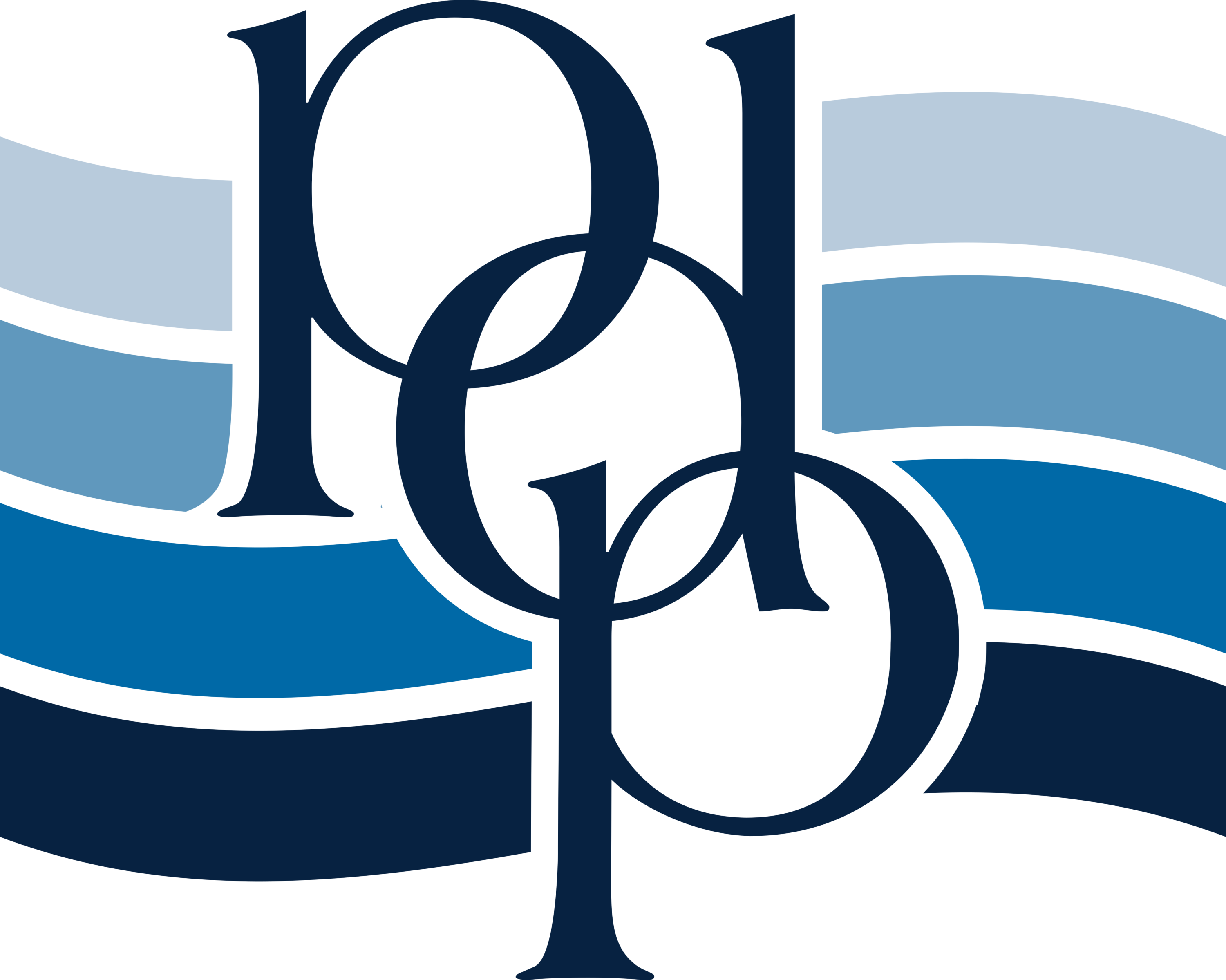 PDP Group Logo