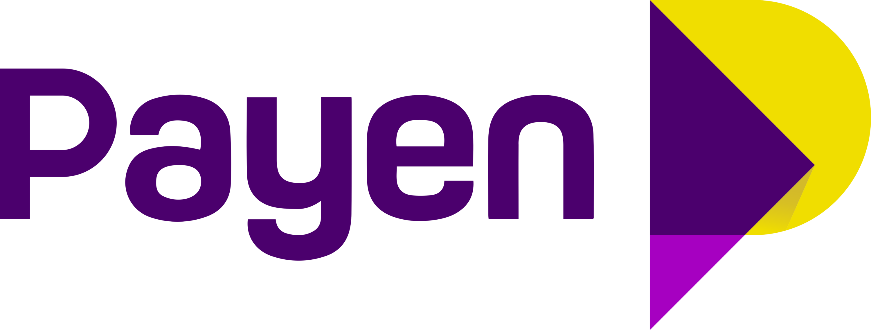 Payen Limited Logo