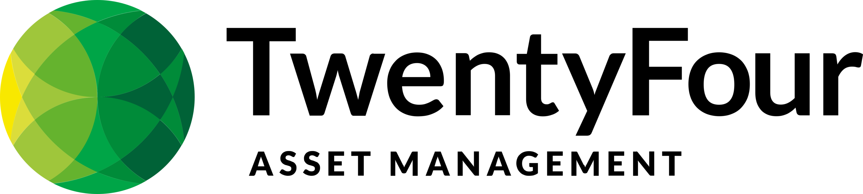 TwentyFour Asset Management LLP Logo