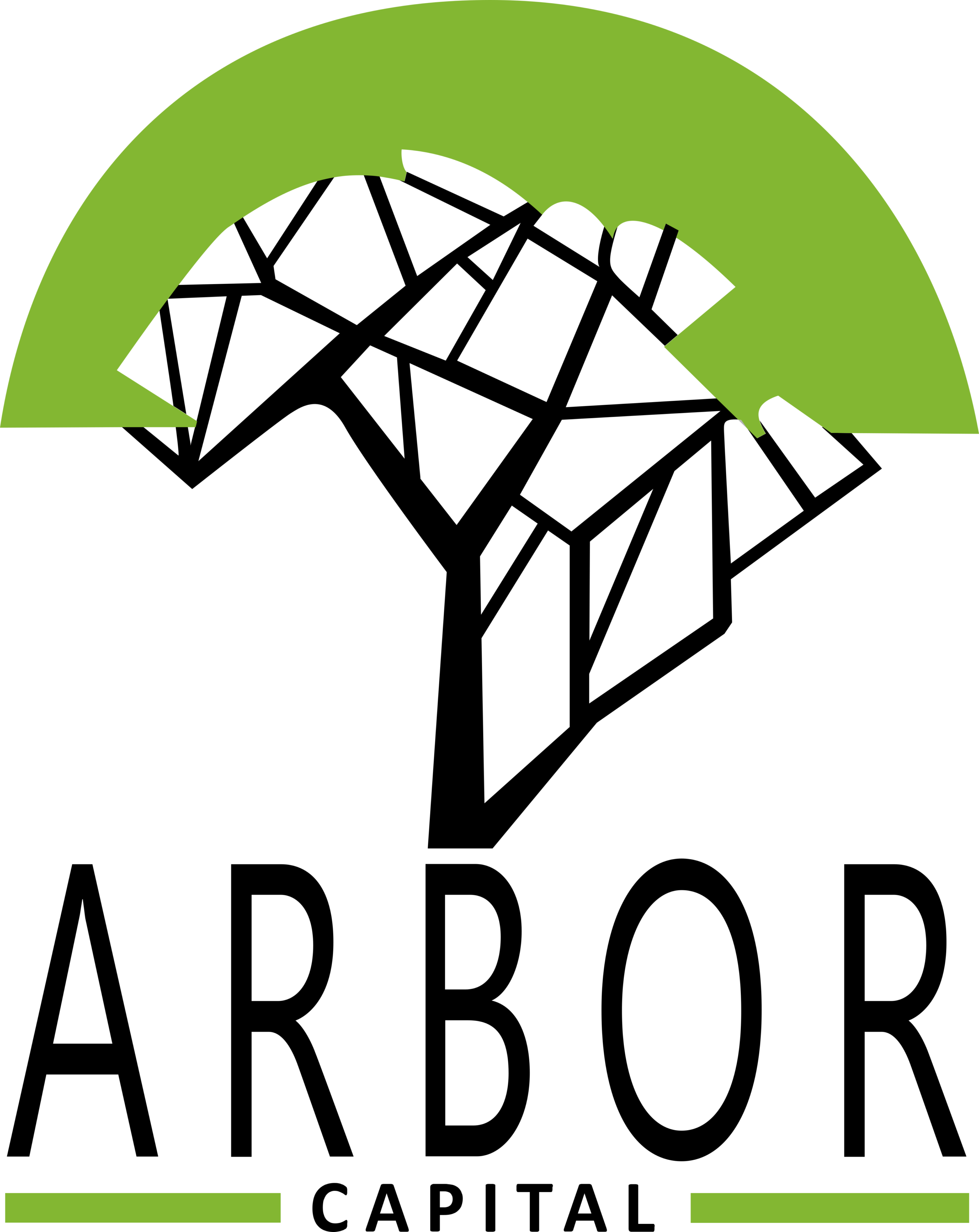Arbor Capital South Africa Logo