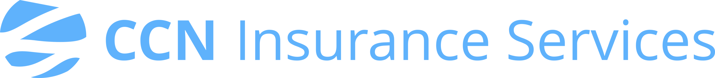 CCN Insurance Services Logo