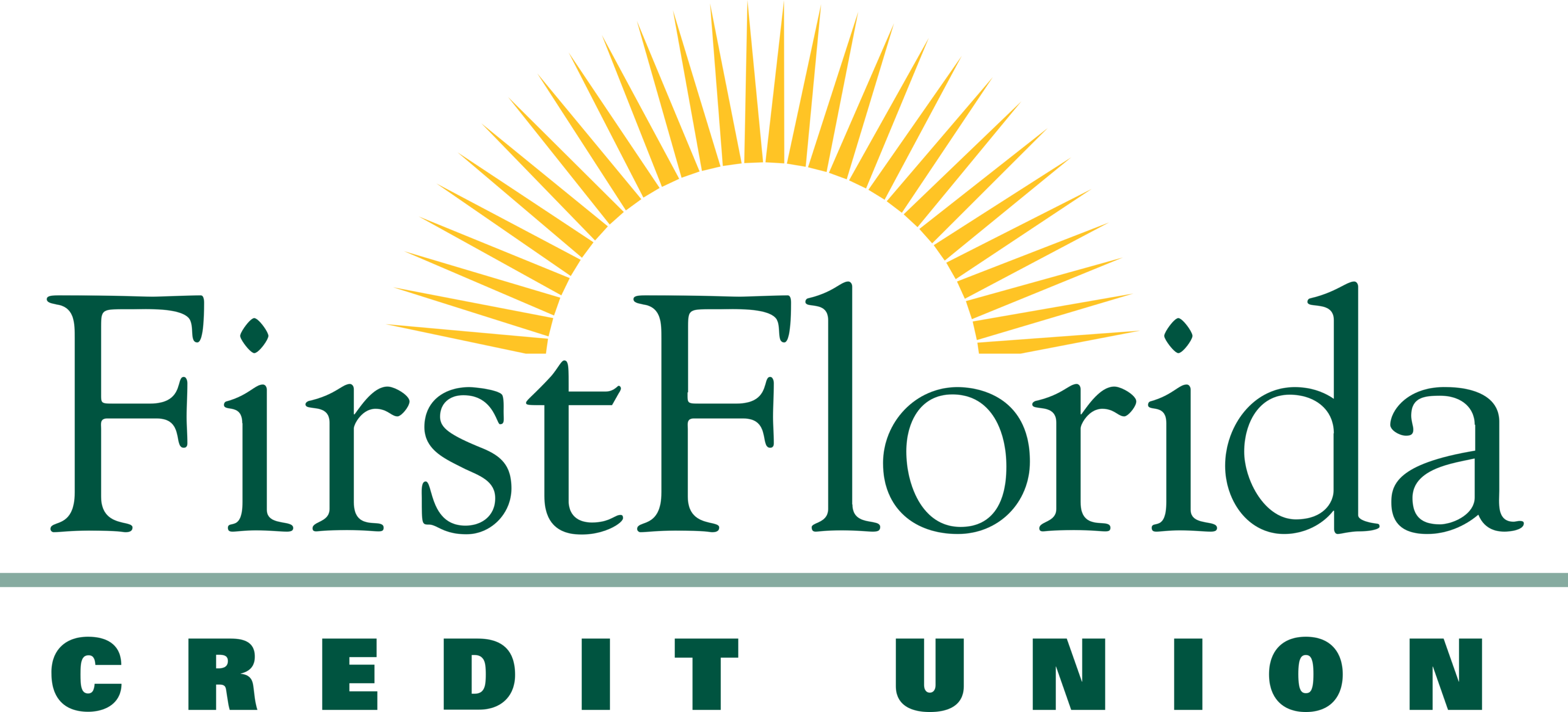 First Florida Credit Union Logo