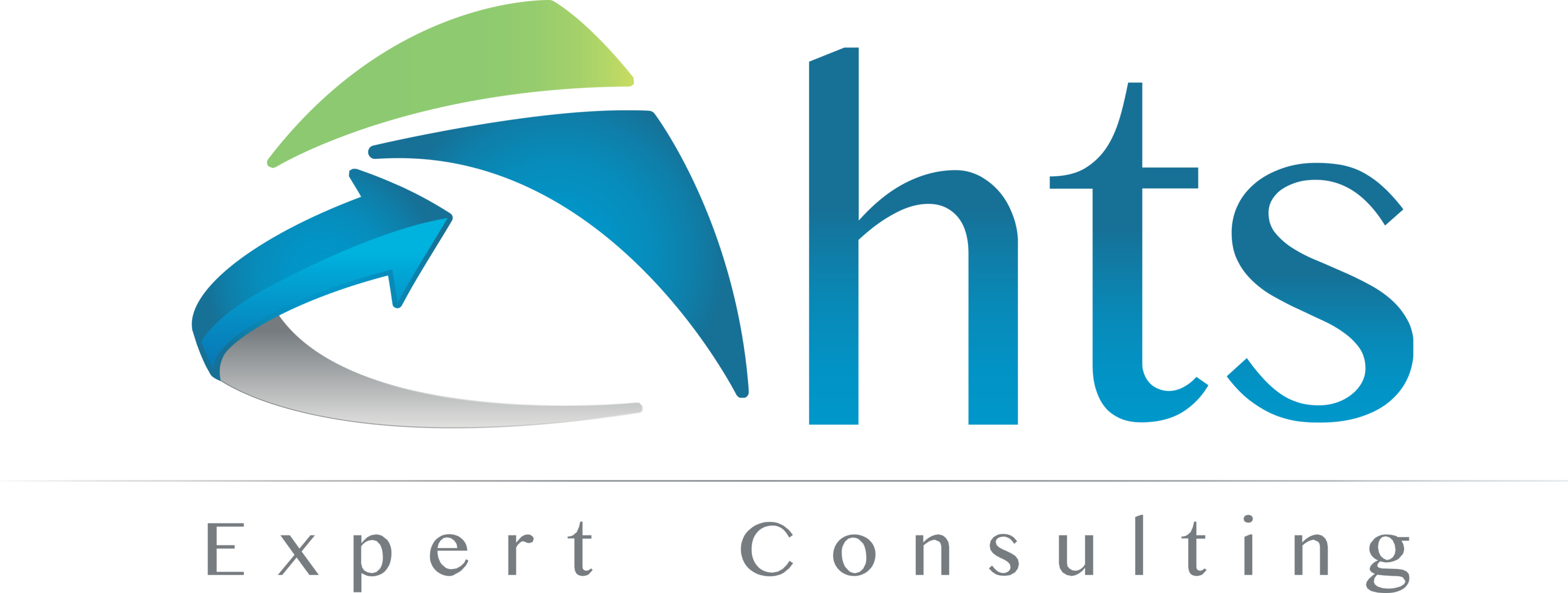 HTS Expert Consulting Logo