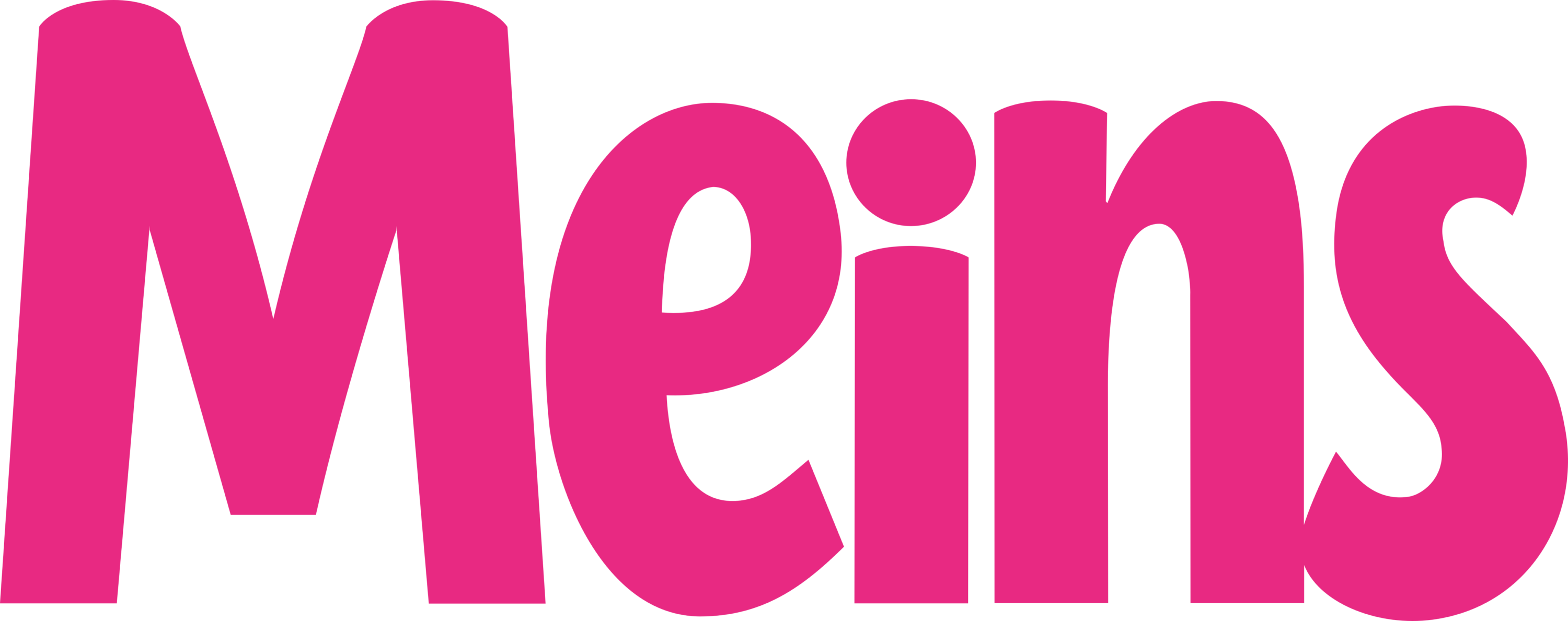 Meins Magazine Logo
